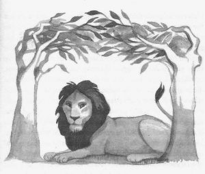 Schwarz-weiß-Illustration von Henriette Sauvant, die einen Löwen mit wachen, aber gutmütigen Augen zeigt. Er liegt unnter einem belaubten Baum und beobachtet.